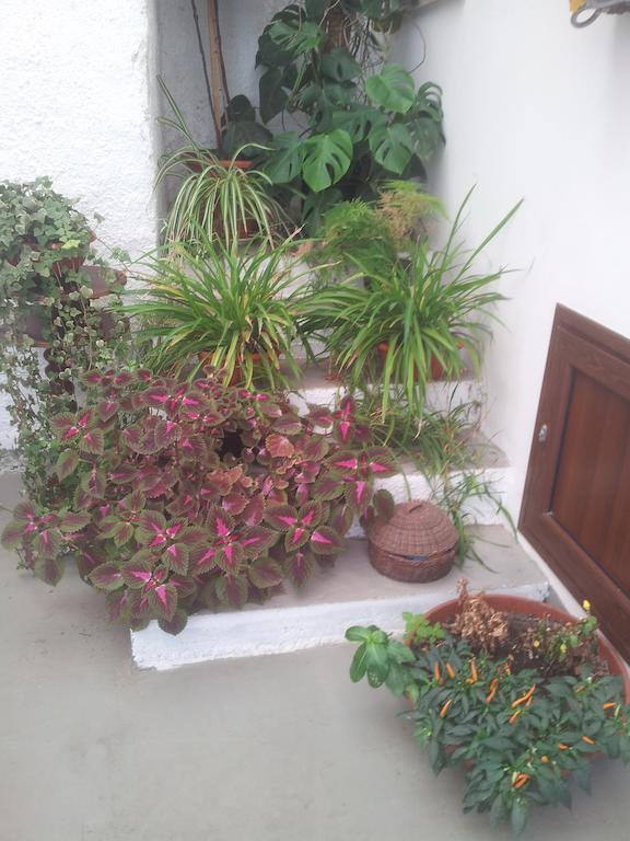 كامبوبيلّو دي مازارا B&B Da Mati المظهر الخارجي الصورة