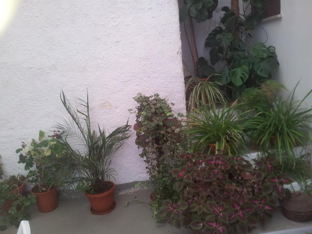 كامبوبيلّو دي مازارا B&B Da Mati المظهر الخارجي الصورة
